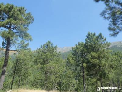 Garganta de la Cereceda - Piscinas de Piedralaves; rutas madrid a pie rutas para caminar excursiones